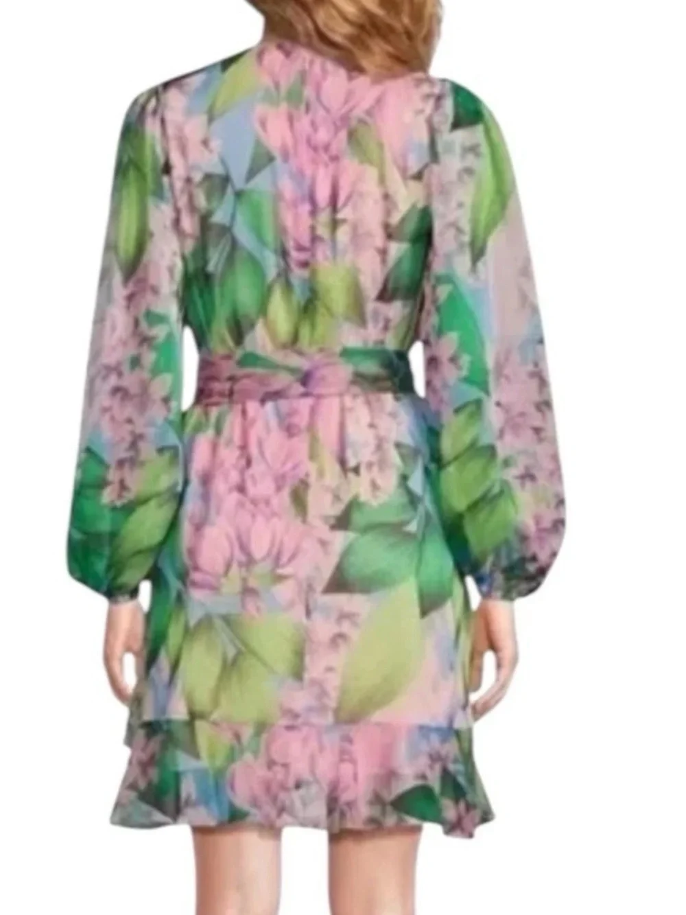 NEW Womens Alex Marie Laurel Chiffon Long Sleeve Mini Wisteria Dress $178 - Picture 2 of 12